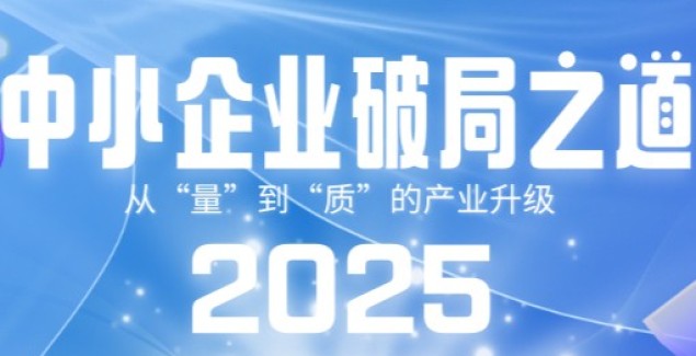 从“量”到“质”的产业升级：2025中小企业破局之道