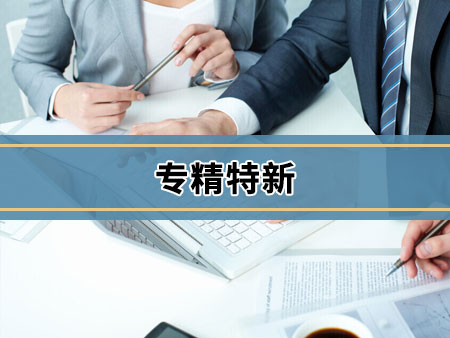 专精特新